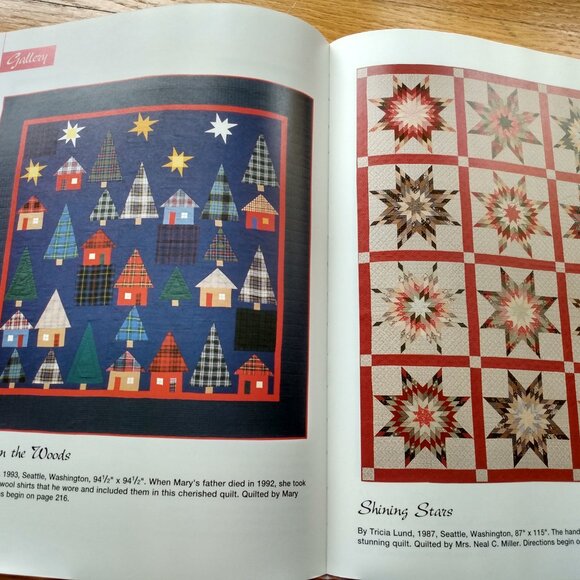 Vintage Joy of Quilting Pattern Book by That Patchwork Place - Picture 9 of 16